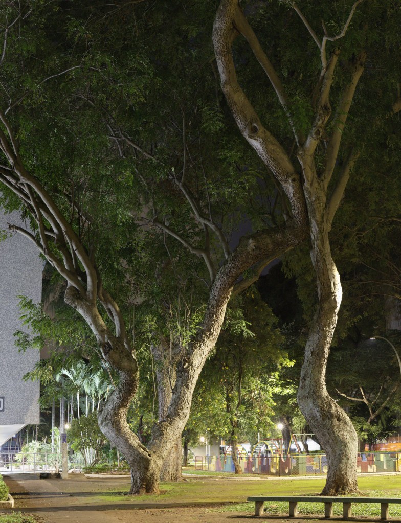 Correções Básicas